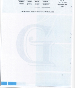 تقرير المدقق 2024